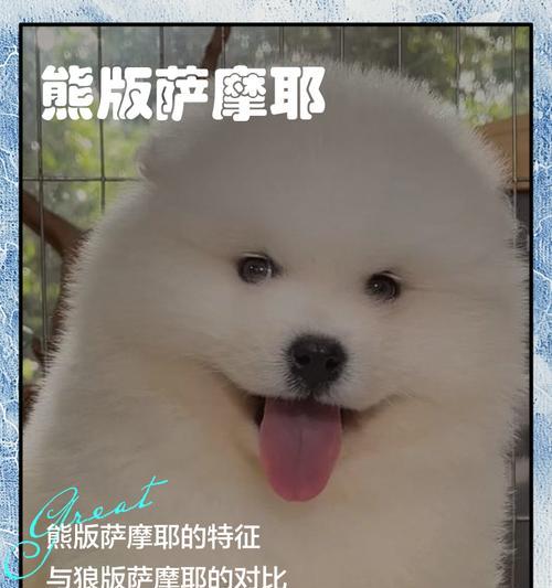 了解萨摩猴脸期的时长和特点（探究以萨摩猴脸期为特征的时间跨度及其相关特征）
