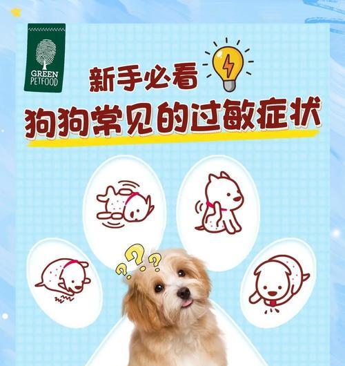 狗狗过敏的种类及应对方法