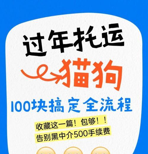 火车旅行的宠物托运指南（了解规定，让宠物安心旅行）