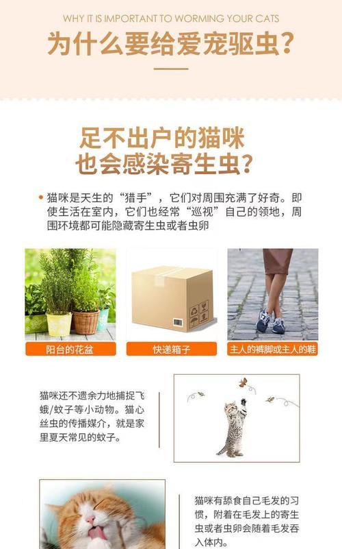 成犬体外驱虫的重要性及频率（保护宠物健康，合理控制驱虫周期）