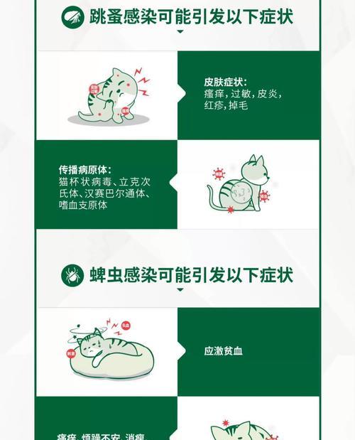 以猫外驱药隔多久洗澡（了解外驱药的作用与洗澡频率，保护猫咪的健康）