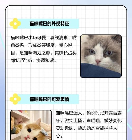 猫嘴巴的灵活性和张口能力的原因（为什么猫嘴巴能张得比人大？猫嘴巴的解剖结构和功能）