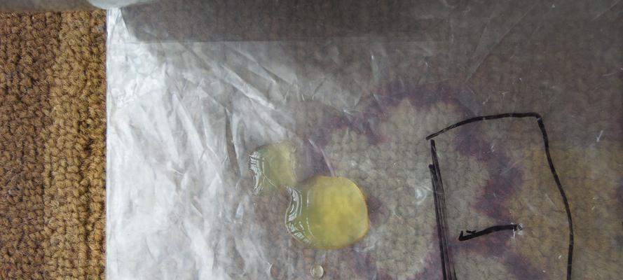 兔子的排尿频率及相关因素分析（兔子排尿时间周期及影响因素解析，兔子排尿周期）