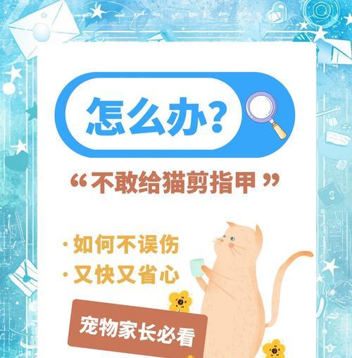 猫咪养护（为什么以家养的猫咪需要定期剪指甲）