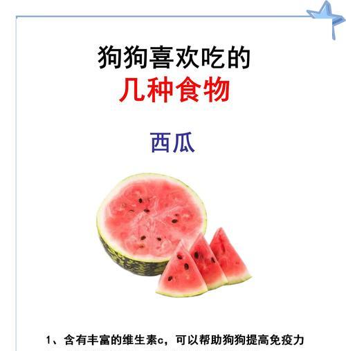 狗食物消化时间的探究（揭秘狗吃食物后的消化过程，让我们更了解爱宠的健康）