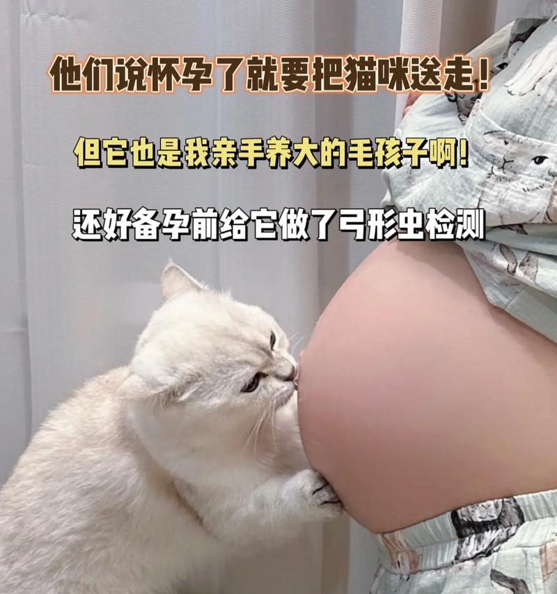 怀孕时养狗要做哪些检查？（了解这些检查对怀孕的影响）