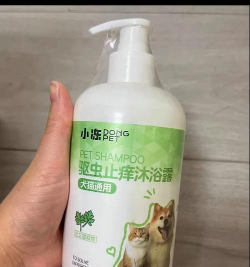 狗外驱后多久可以洗澡的正确时间（了解狗外驱后洗澡的关键信息）