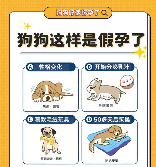 金毛怀孕期长短及生小狗时间预测（金毛怀孕周期、分娩过程和产后护理一览）