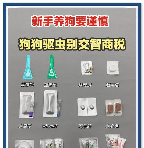 用药前后禁食时间要多久？（驱虫药使用须知及注意事项）