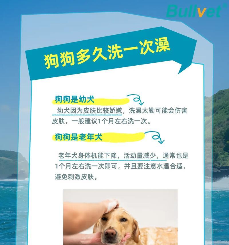 狗狗何时可以洗澡？（洗澡是否会降低狗狗的抵抗力？）