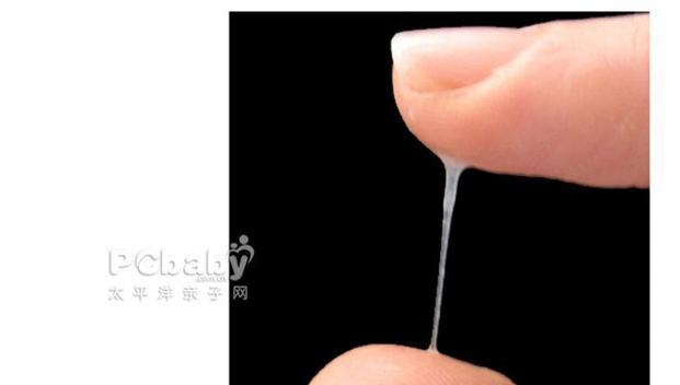 母狗配对后多久需要精子？（探究母狗与精子之间的关系及交配后的时间要求）