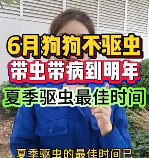 四个月狗的驱虫频率及注意事项（保护宠物健康，正确掌握驱虫时间）