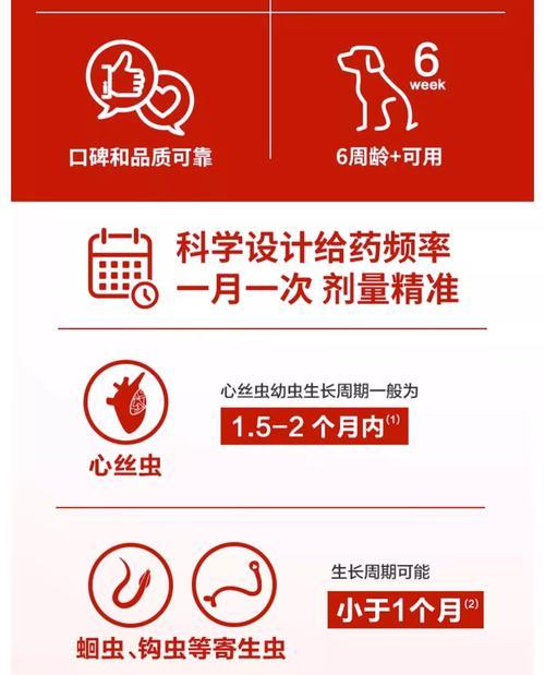 泰迪打虫药的使用频率及注意事项（以泰迪打虫药多久吃一次为主题的使用指南）