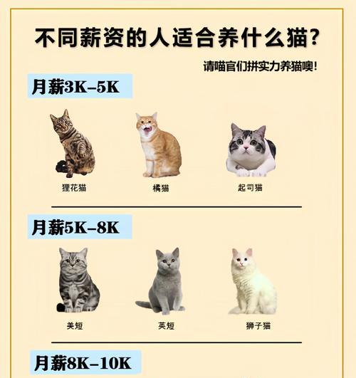 猫咪的体重与品种有关吗？（如何判断你家的猫咪是否超重）