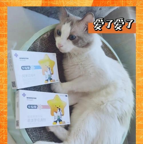 小猫的驱虫频率和方法（探讨小猫驱虫的最佳时间和适用产品，提供有效的驱虫方案）