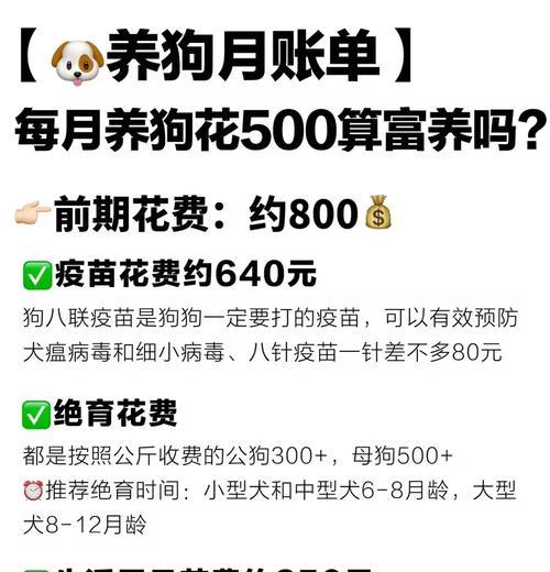 犬瘟过后多久可以养狗？（养狗时需要注意的关键时期）