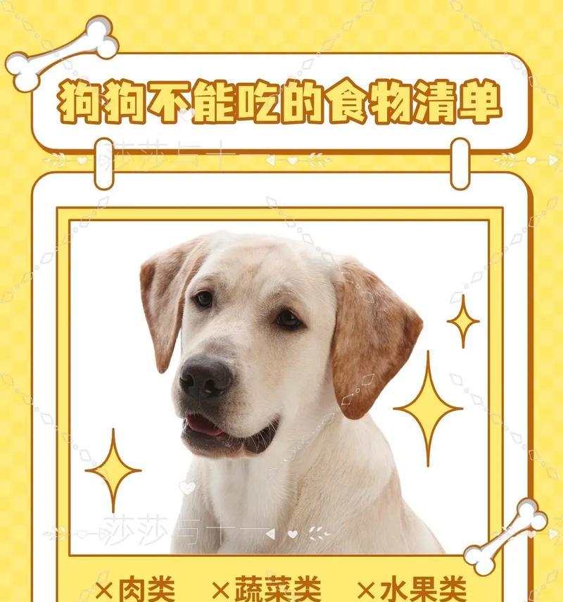 狗狗驱虫需禁食多久？（驱虫禁食期对狗狗健康的重要性）