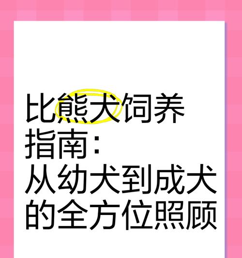 比熊犬一生六大时期的饲养指南（关注比熊犬成长的六个阶段，让它健康快乐地度过）