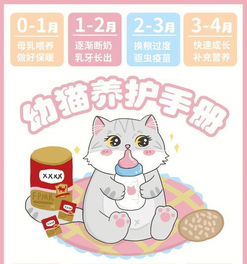 如何养活未断奶的小奶猫？（细心照料是保证小奶猫健康成长的关键）