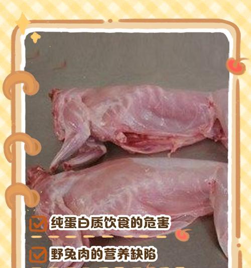 野兔冬天的存活能力有多强？（探究野兔在严寒冬天的生存策略和存活时间）