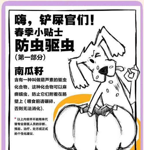 狗狗驱虫后多久可以进食？（驱虫后的饮食安排及注意事项）