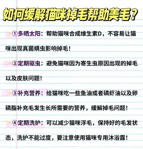 猫咪掉毛太过严重的原因及解决方法（寻找掉毛问题的根源，为您的猫咪提供最佳护理）