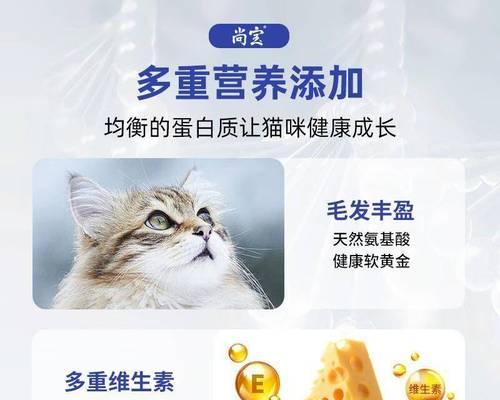 丰富猫咪营养，让它们更健康（除了猫粮，这些食物也是猫咪营养的好来源）