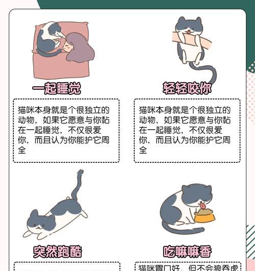 揭秘猫咪惧怕的5大事物！（透视猫咪内心世界，让你了解它们的恐惧。）