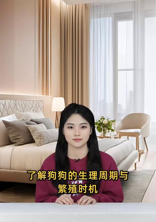 狗狗月经周期及常见问题解答（了解狗狗的月经周期，照顾它的健康成长）