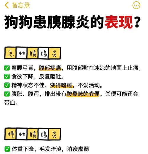 了解狗狗慢性胰腺炎的常见症状（掌握胰腺炎的早期预警信号，提早保护爱宠健康）