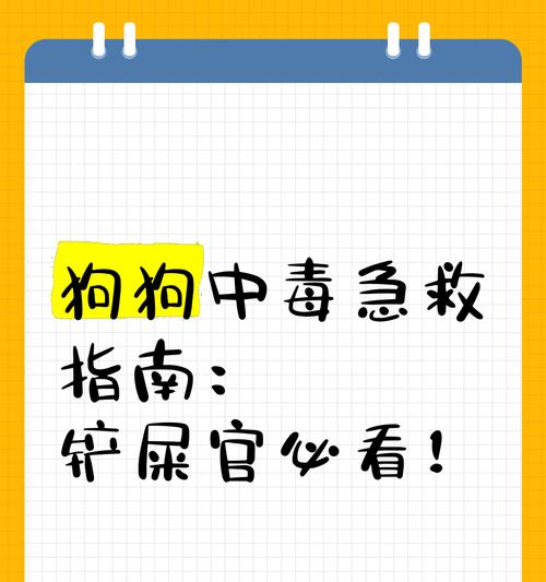 狗狗中毒后的恢复期（了解中毒后狗狗的康复时间和关键要素）