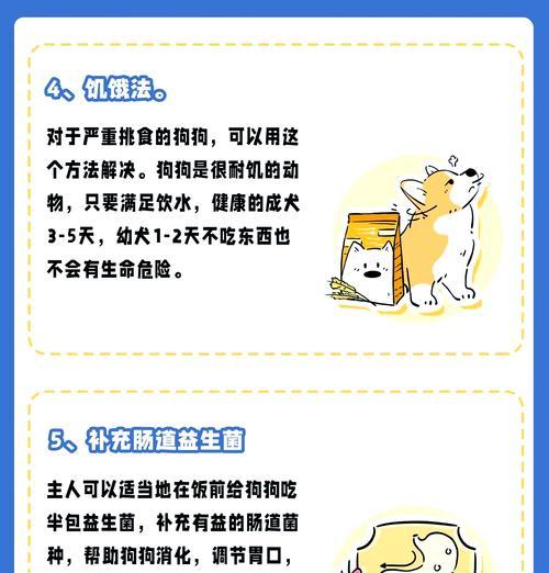 狗狗挑食不吃狗粮的原因及应对方法（解析狗狗挑食现象，让爱宠健康饮食）