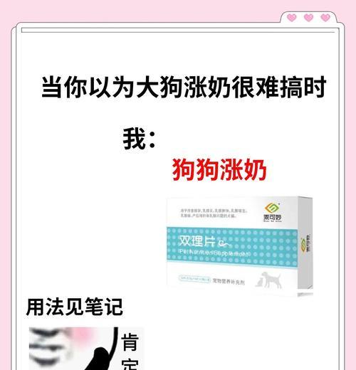 母狗产后奶量持续减少的原因及应对方法