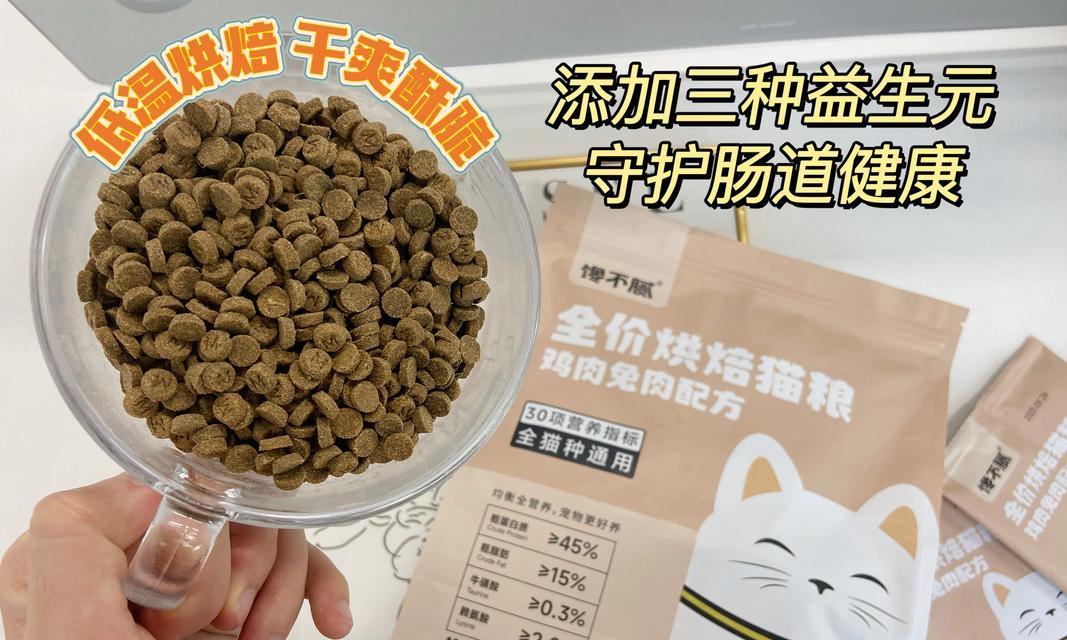 小猫何时可以开始吃湿猫粮？（了解小猫过渡到湿猫粮的最佳时机和方法）