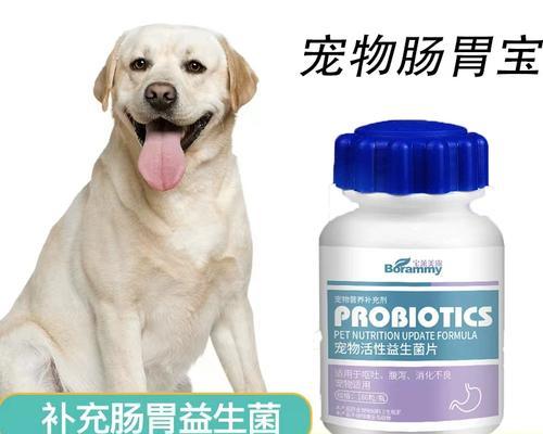 拉布拉多的消化过程有多久？（探究拉布拉多消化系统的神秘之旅）