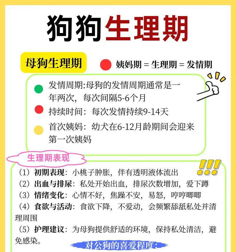 母狗分娩间隔多久会生？（了解母狗分娩周期的关键信息）