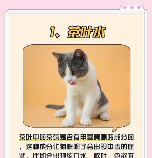 猫咪饮水之道（探索猫咪饮水习惯，科学规划水换周期）