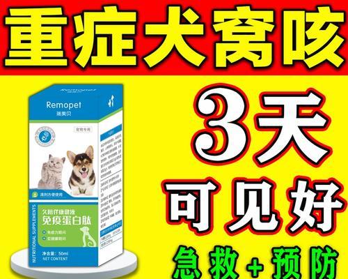 泰迪感冒（了解泰迪感冒的症状，提早采取有效预防措施）