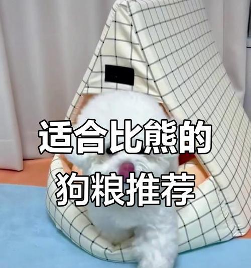 如何选择适合的狗粮？（以不知道比熊狗粮怎么选为例，教你选到满意的狗粮）