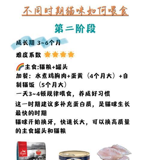 猫奶粉的喂养时长（探索适当喂养时长和关键因素，助力你的小猫快乐成长）