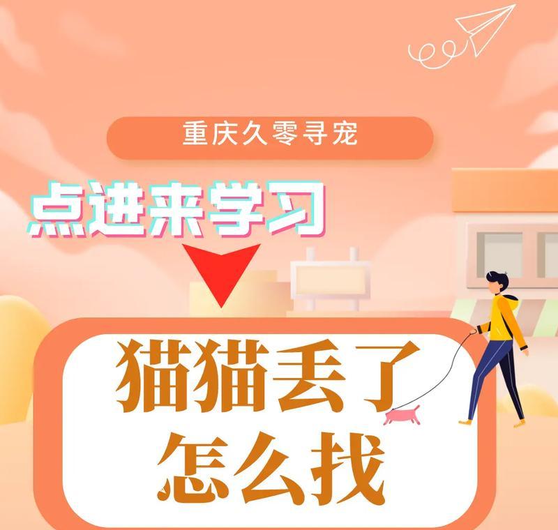 如何找回走失的猫猫（失去它们，我们该怎么办？（）