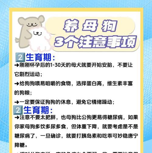 母狗产后恢复期（了解母狗产后的恢复周期和关键指标）