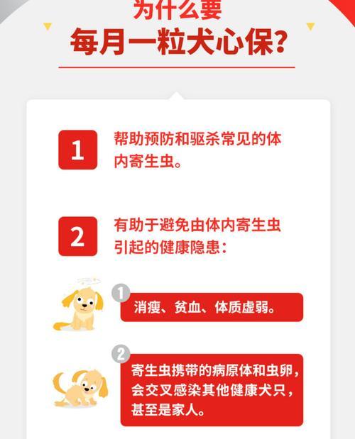 狗狗打虫药的正确用法与用量（保护宠物健康，做好驱虫工作）