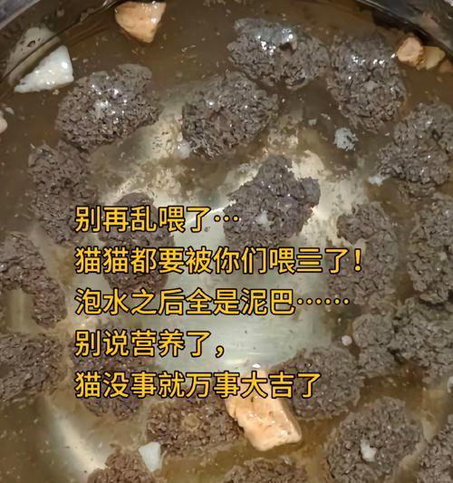 揭秘有毒猫粮（探究市面上的有毒猫粮及其危害，以及如何选择安全的猫粮）