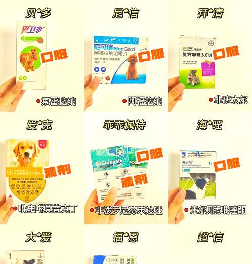 小狗驱虫的重要性（了解小狗驱虫的适宜频率）
