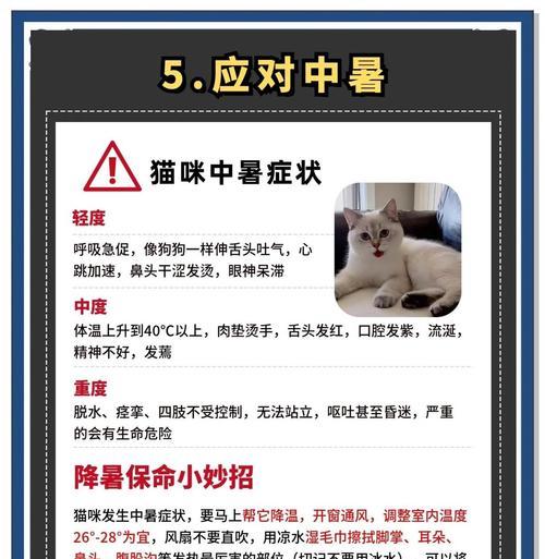 猫咪如何防止中暑？（宠物猫咪的炎热夏天，你需要了解这些！）