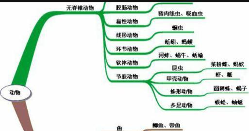 世界上最奇妙的动物（探索动物世界的奇妙多样性）