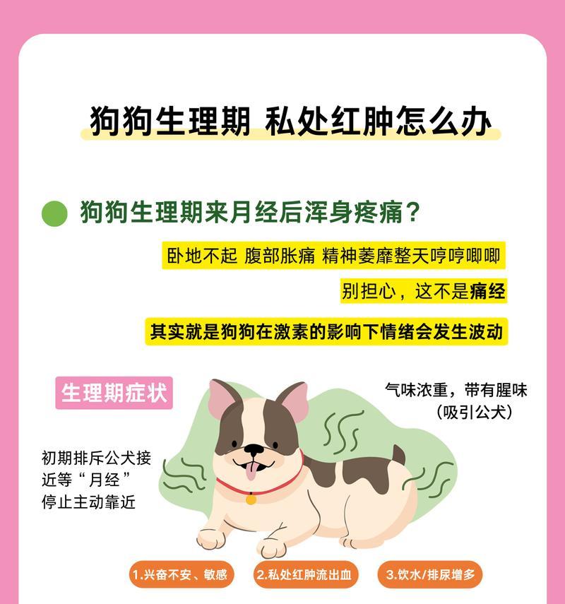 狗狗的假期时光——多久来列假？（探讨狗狗休假的周期和特点）