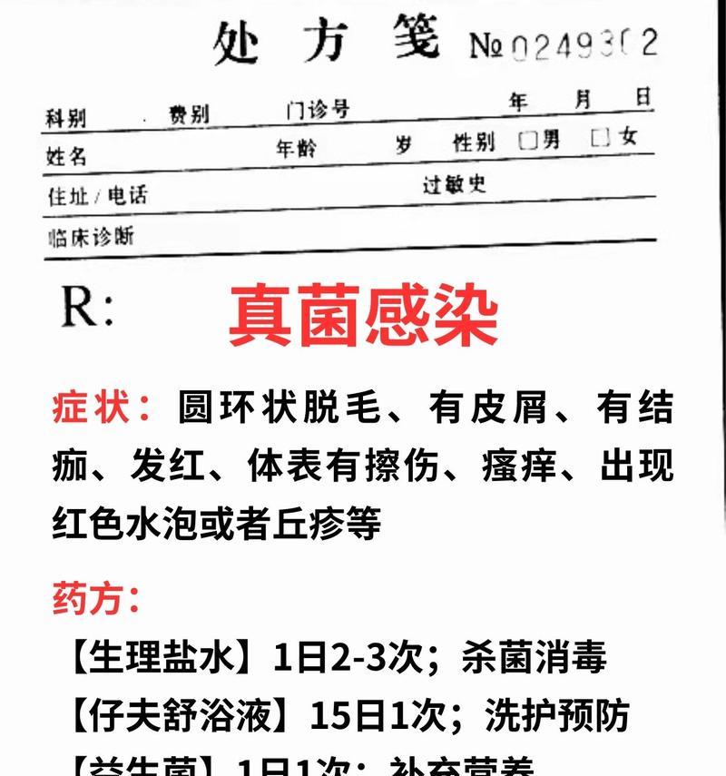 以犬病清（探索以犬病清的奇效，为犬病患者带来新的希望）