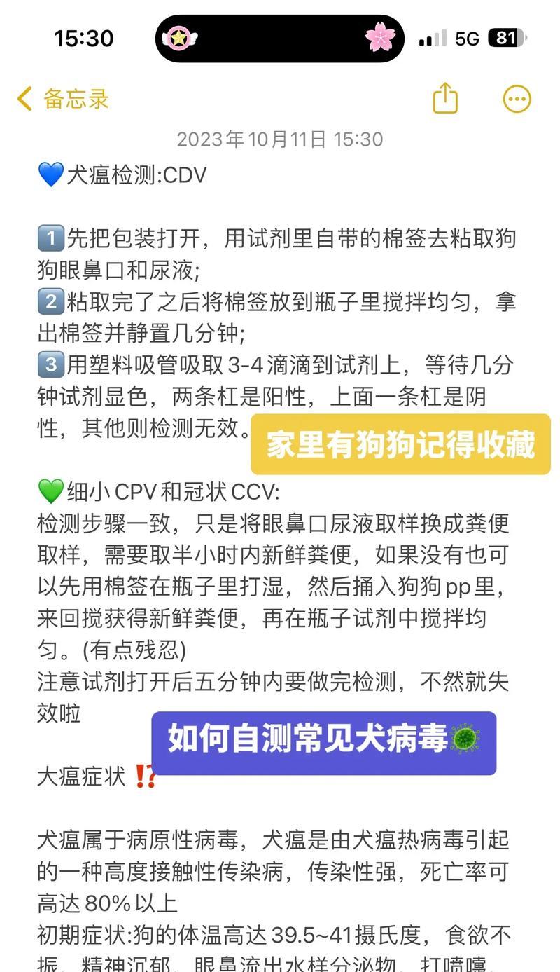 了解狗狗试纸的用途及优势（探索狗狗试纸的检测项目和操作方法）
